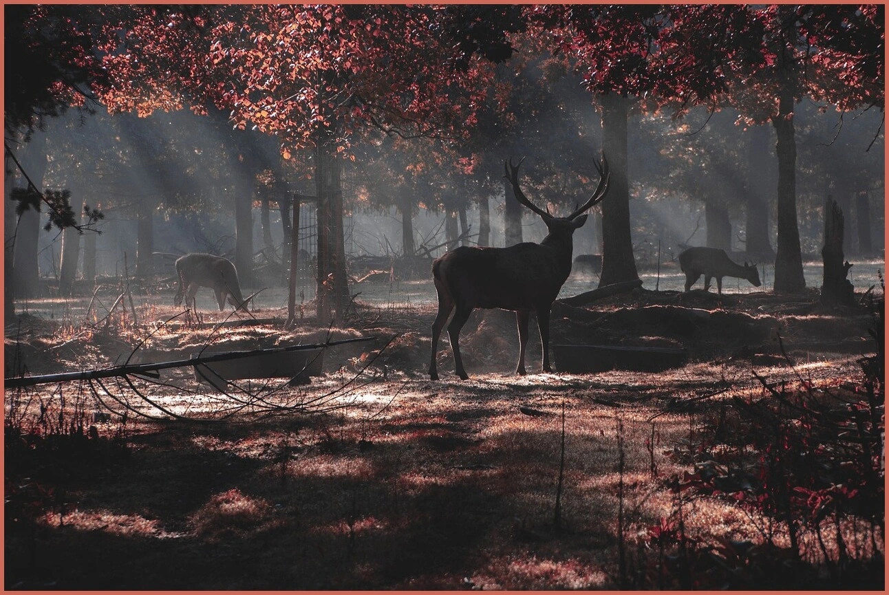 정기예금 금리 가장 높은곳