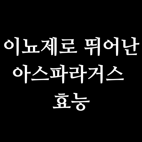 이뇨제로 뛰어난 아스파라거스 효능