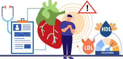 콜레스테롤-HDL-LDL-수치