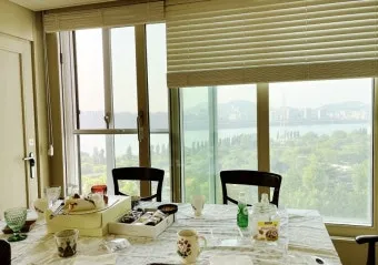 북서향 창문 식물 선택 저광량관리 물주기 식물등 세팅 가이드_13