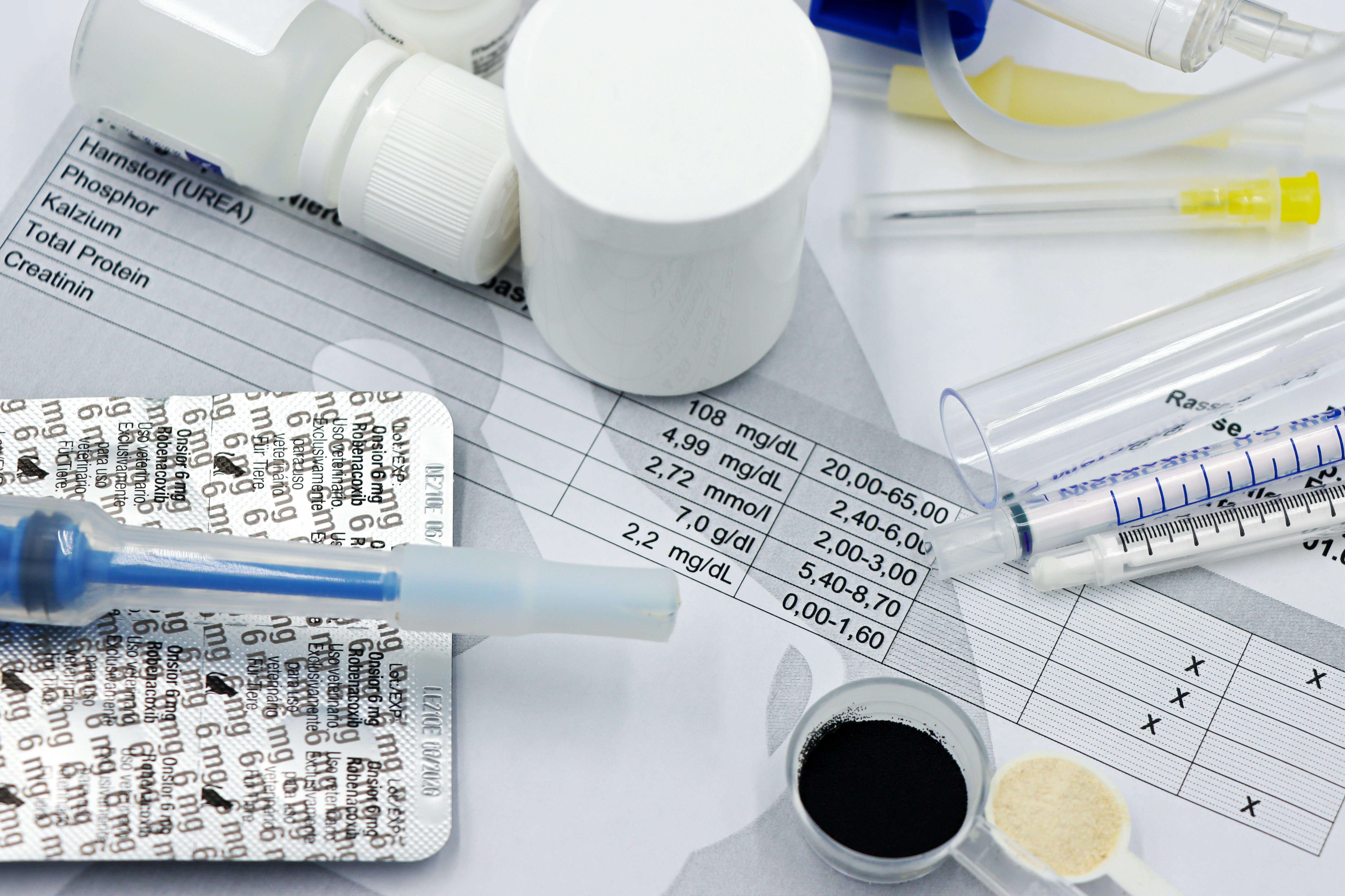 예방접종&middot;중성화&middot;건강검진 비용 총정리｜2025 반려동물 필수 의료비 가이드 