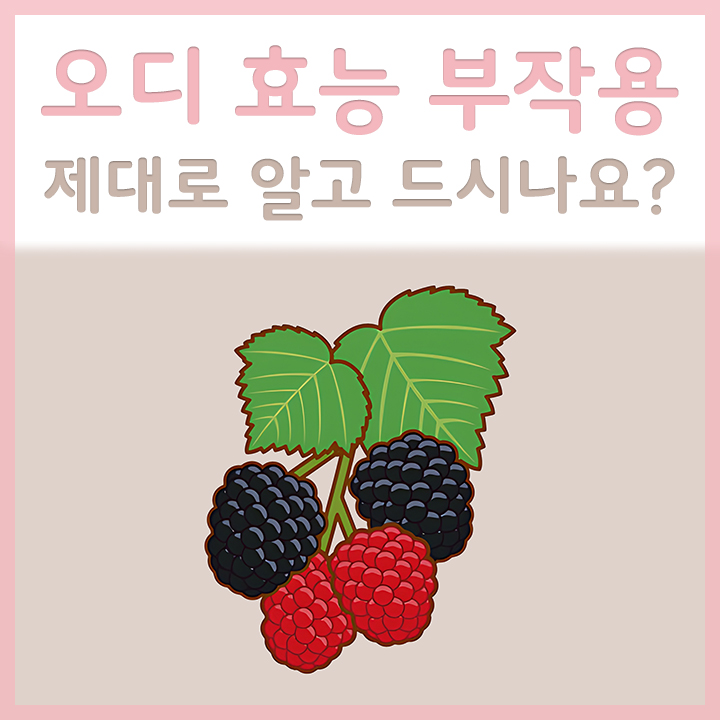 오디