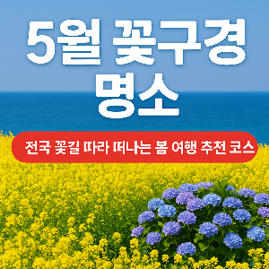 5월-꽃구경-명소