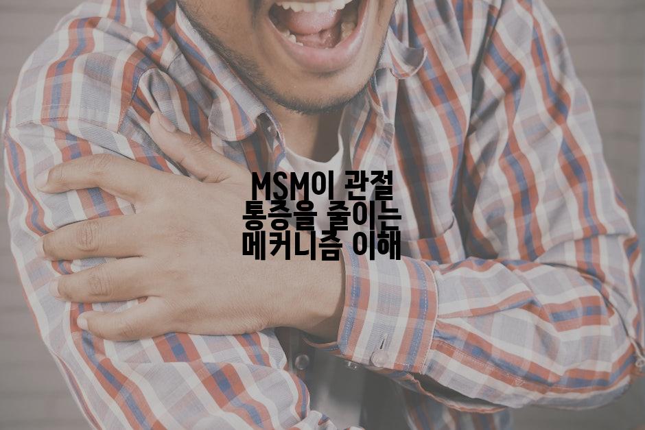 MSM이 관절 통증을 줄이는 메커니즘 이해