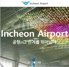 취항항공사