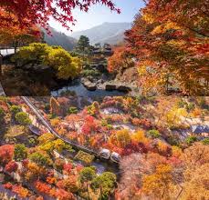 화담숲 모노레일