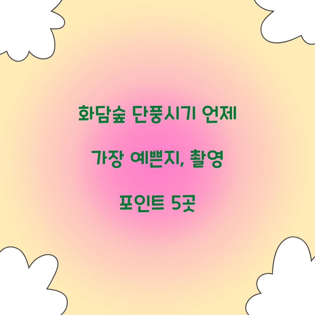 화담숲 단풍시기