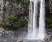 ISFP 유형 특징 분석