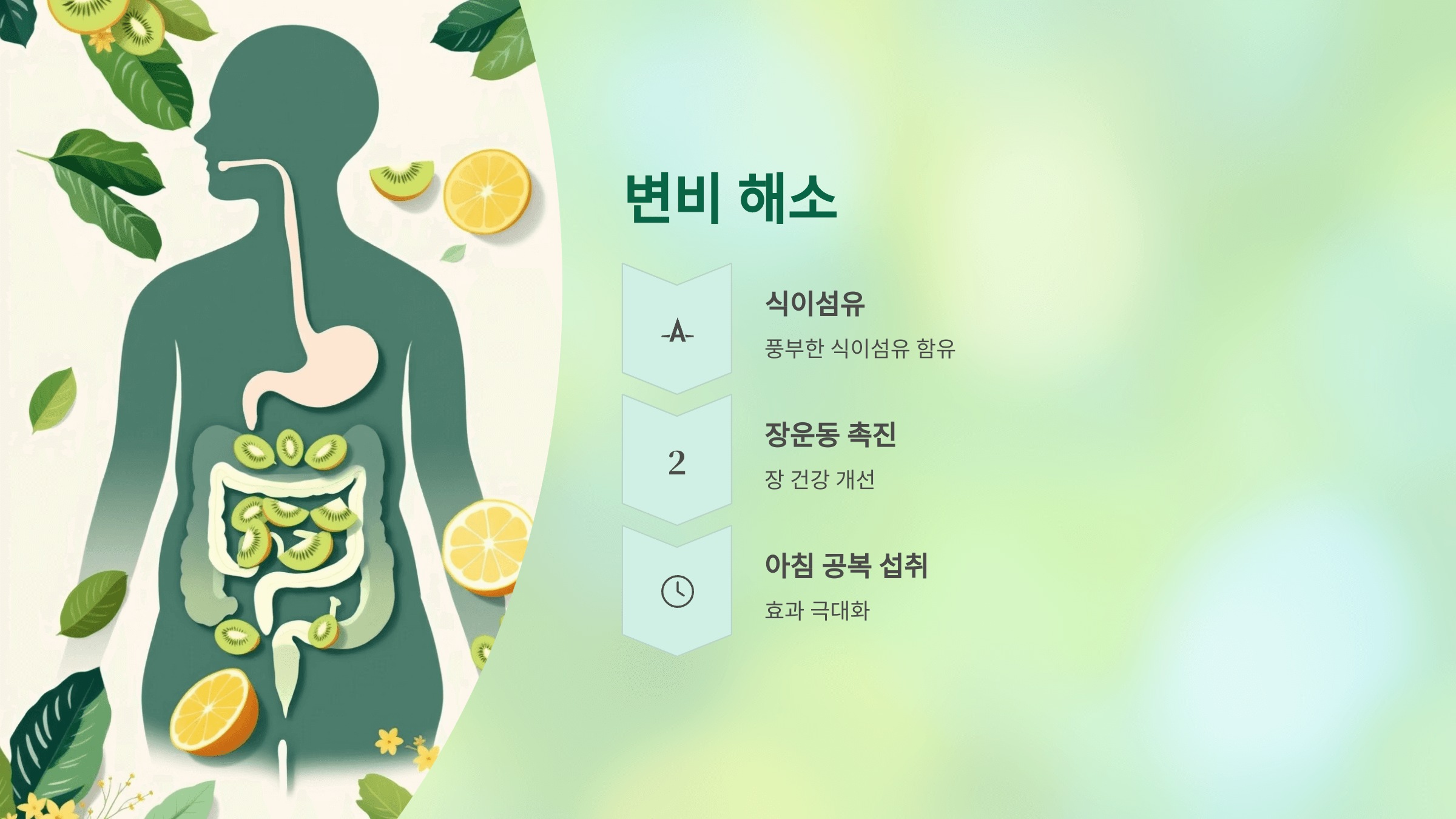 키위 사진입니다.
