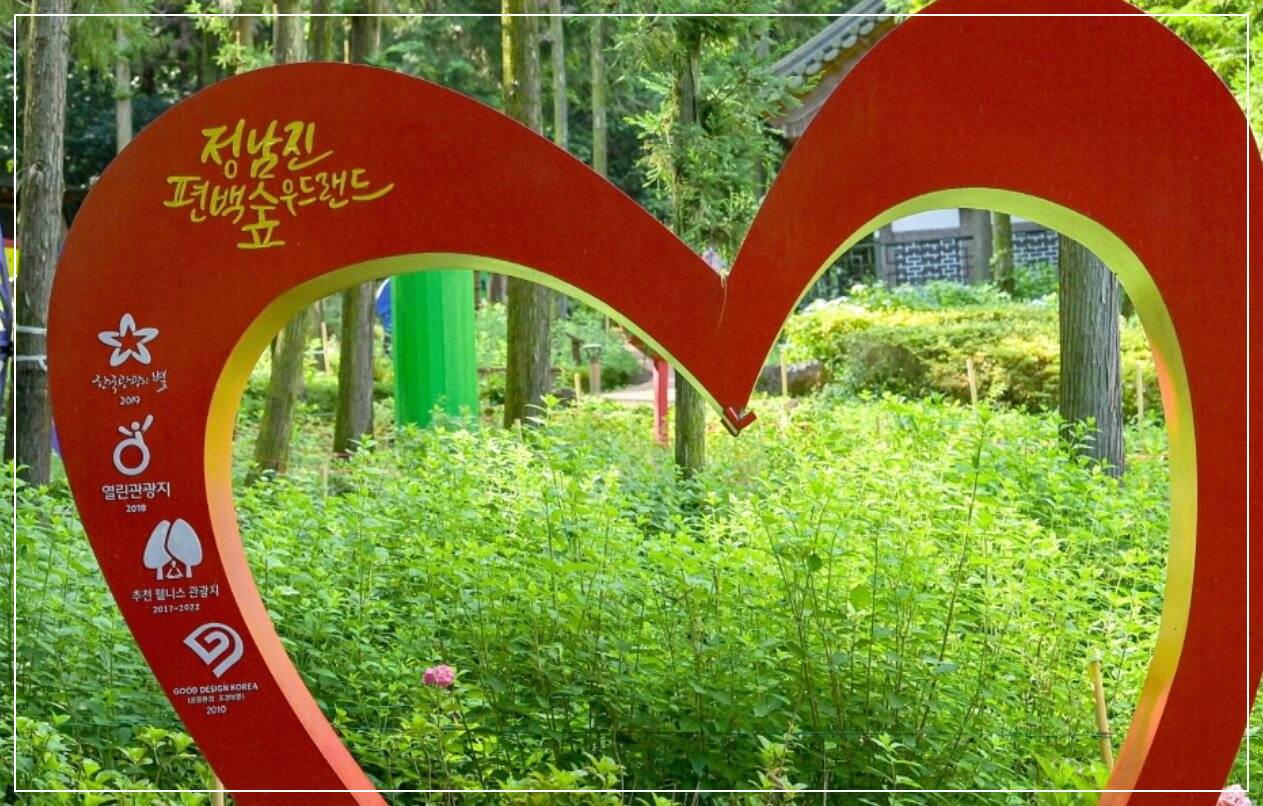 장흥 가볼만한곳 베스트10 정남진 편백숲 우드랜드