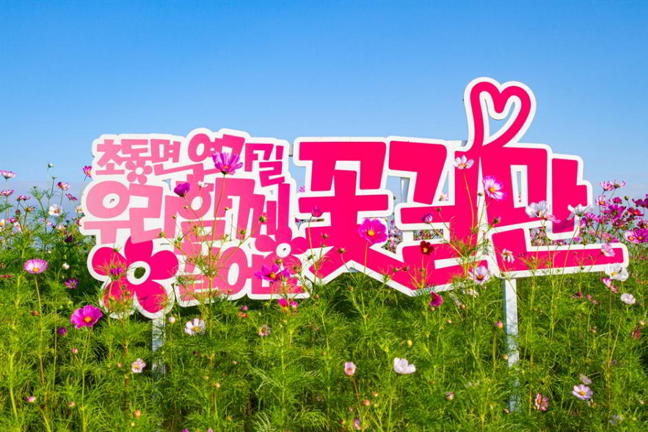 밀양 초동연가길