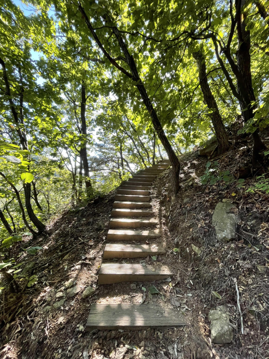 파주 감악산 출렁다리