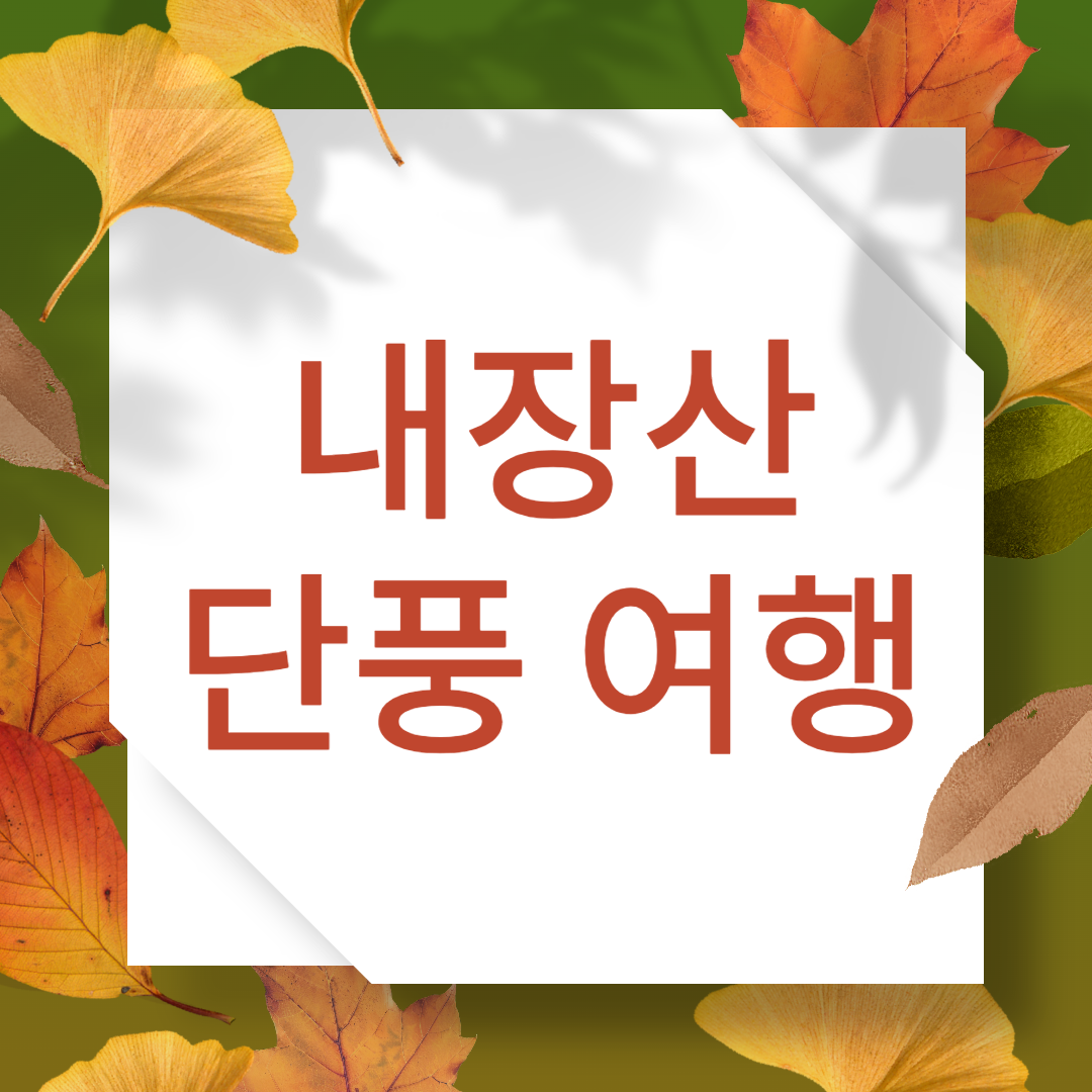 내장산 단풍여행