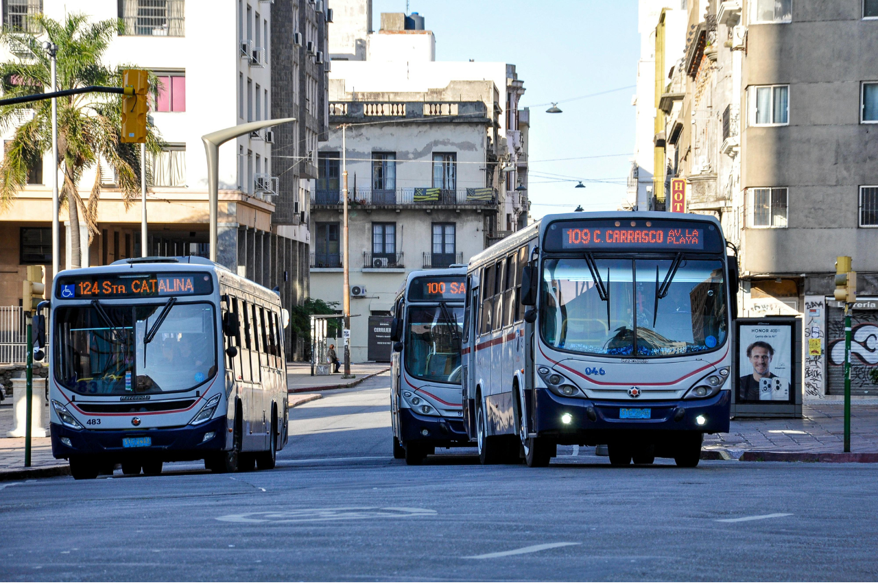 정부 지원금 정보 사이트를 그대로 믿으면 안 되는 이유