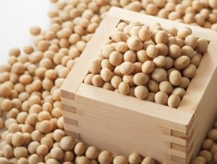 이소플라본 추출 에스트로겐 대체