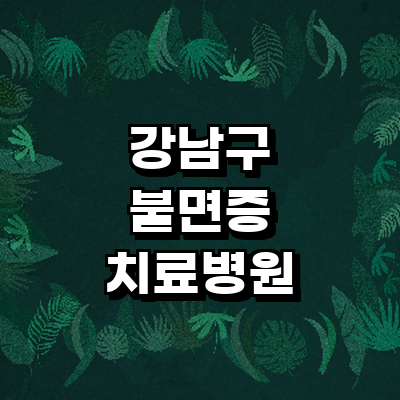 서울 강남구 불면증
