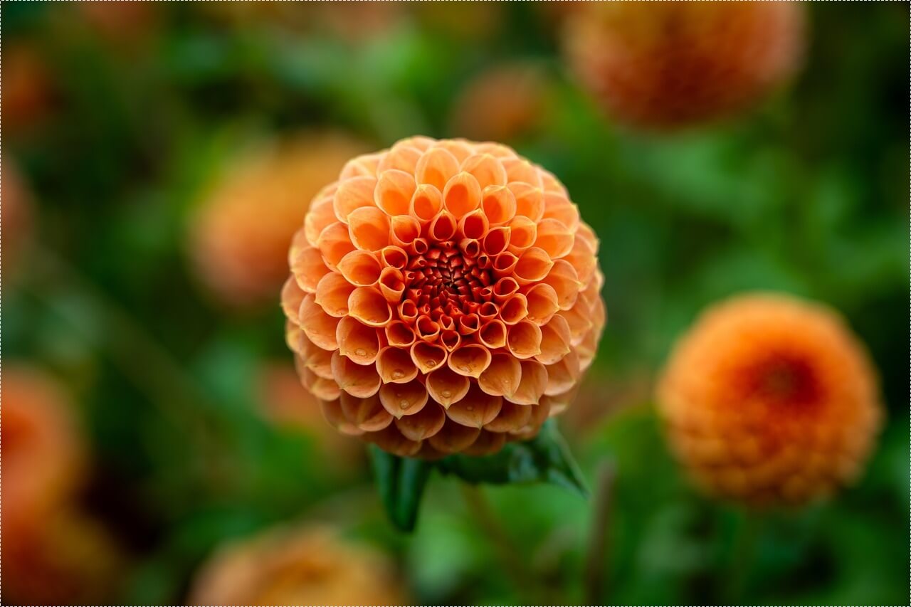 저축은행 정기예금 금리비교 사이트