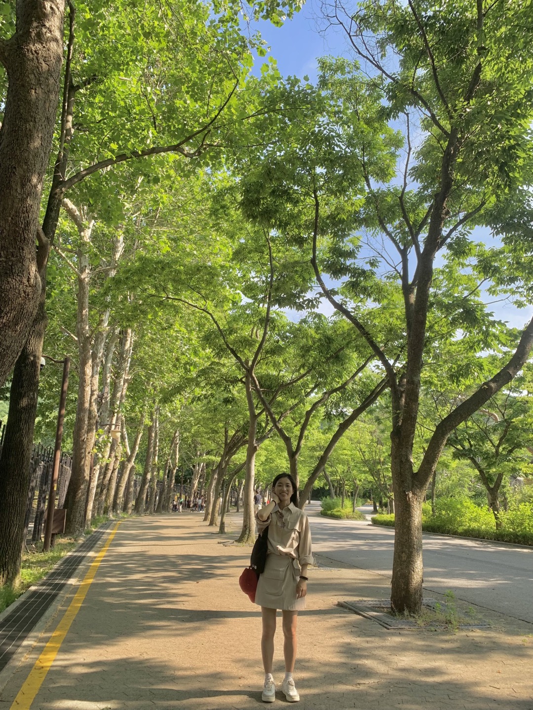 푸릇푸릇한 울창한 나무숲 거리