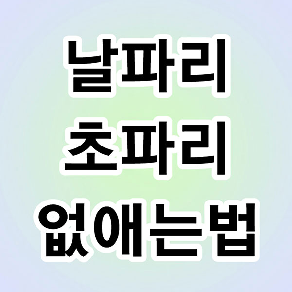 날파리 초파리 없애는법 - 썸네일