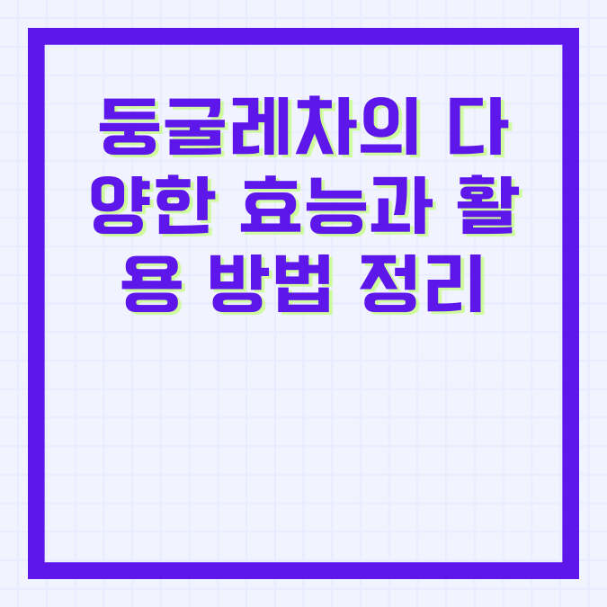 둥굴레차의 다양한 효능과 활용 방법 정리