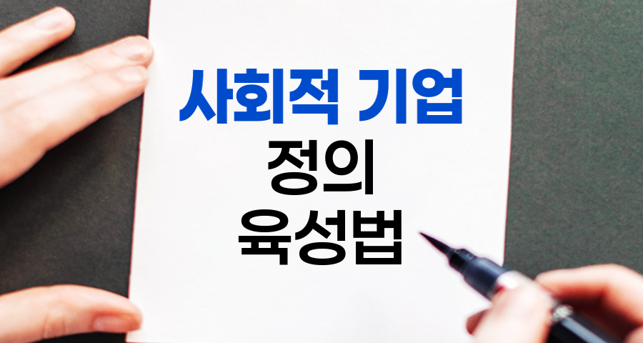사회적 기업, 정의와 육성법