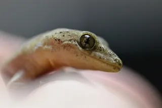 초등학생 생일선물