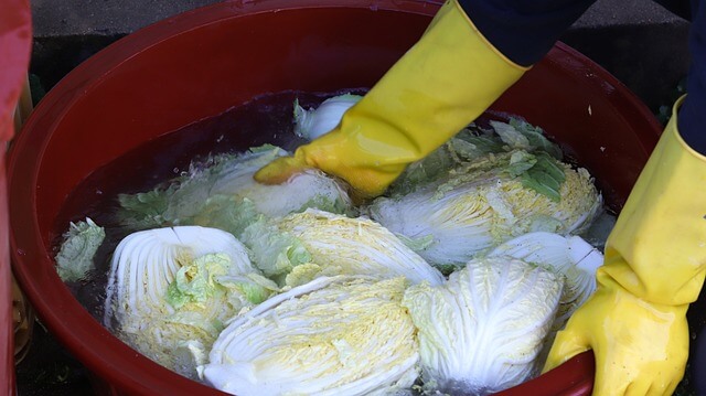 배추겉절이 양념 맛있게 만드는 법 8단계