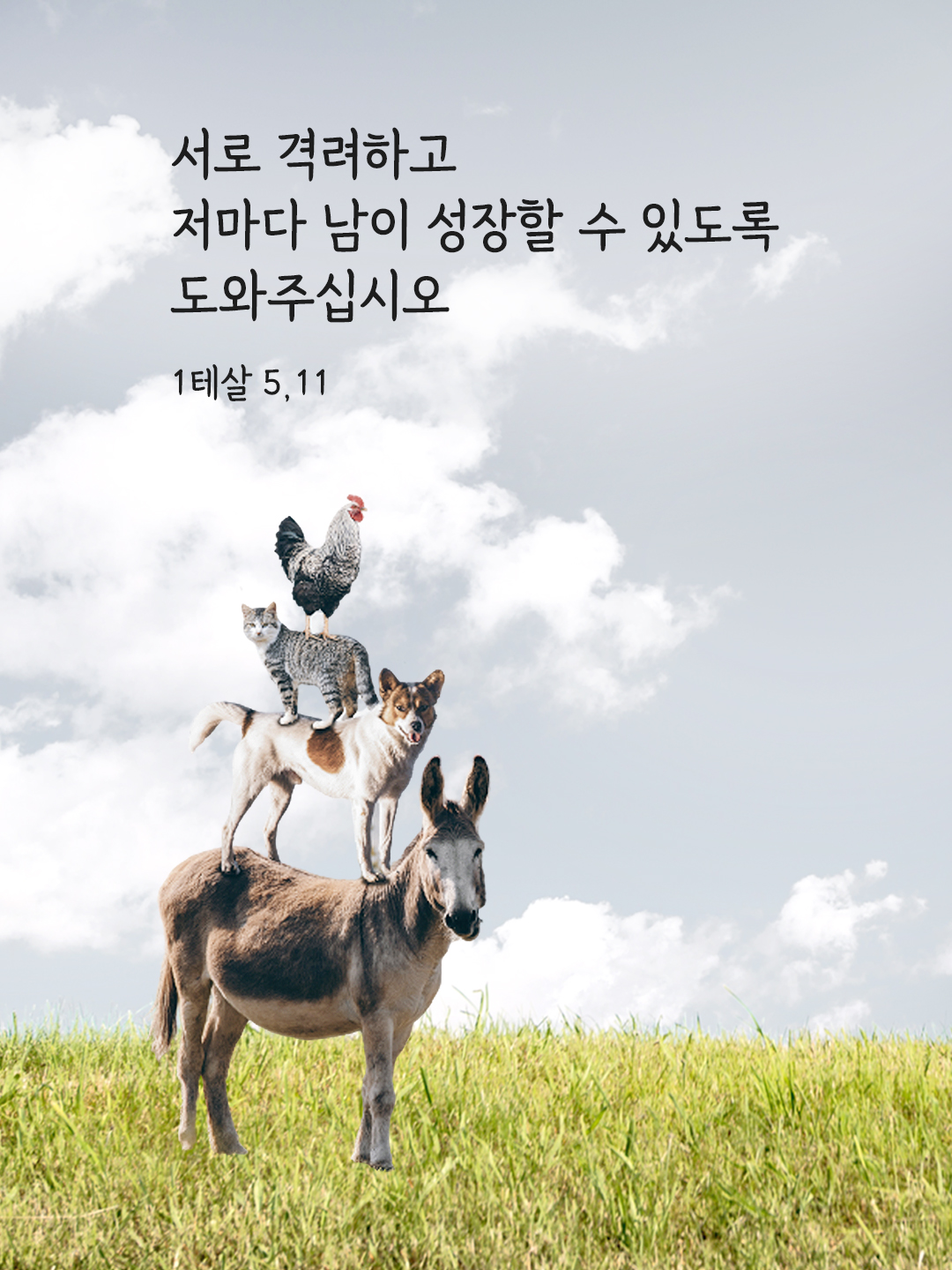 서로 격려하고 저마다 남이 성장할 수 있도록 도와주십시오. (1테살 5,11)