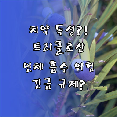 치약 속 유해 성분 트리클로산 인체 ..