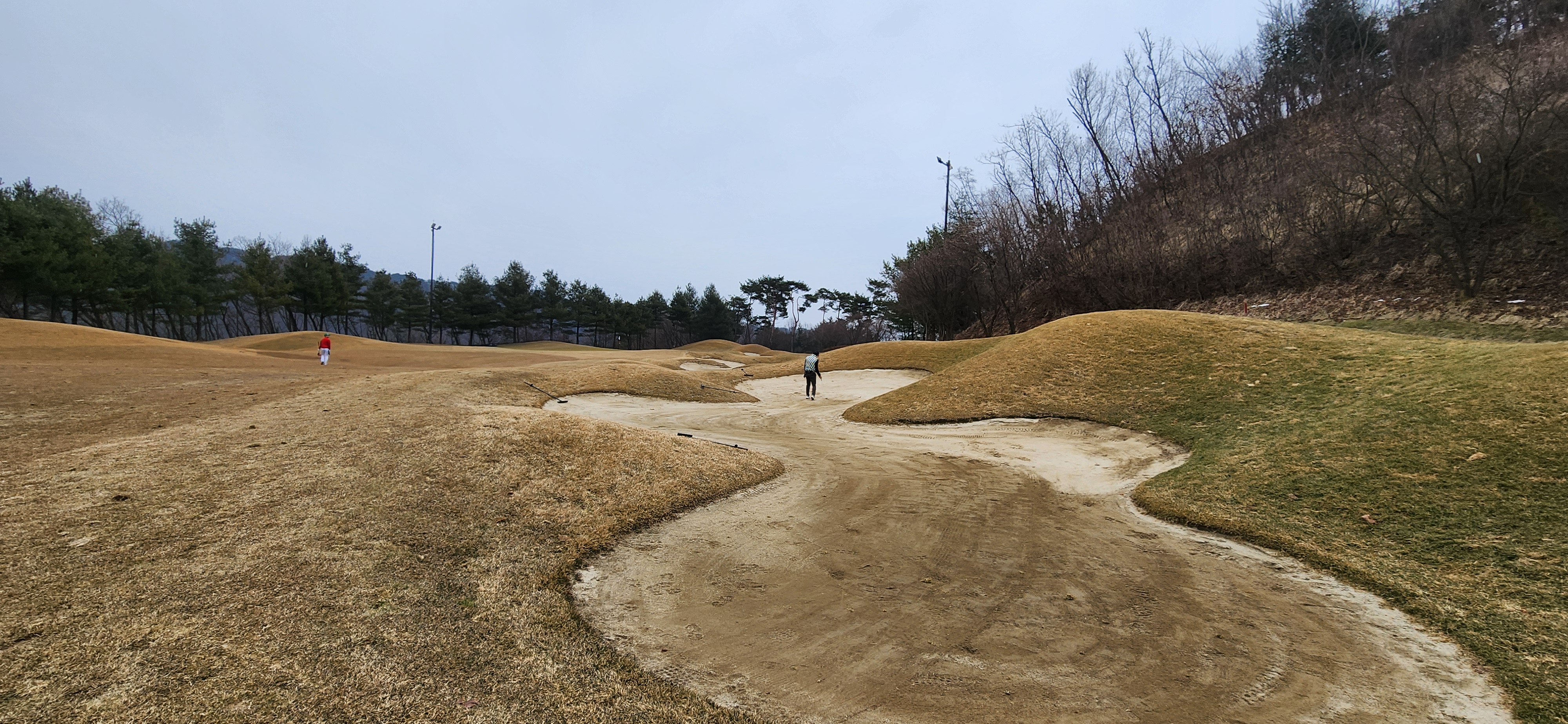 힐드로사이cc