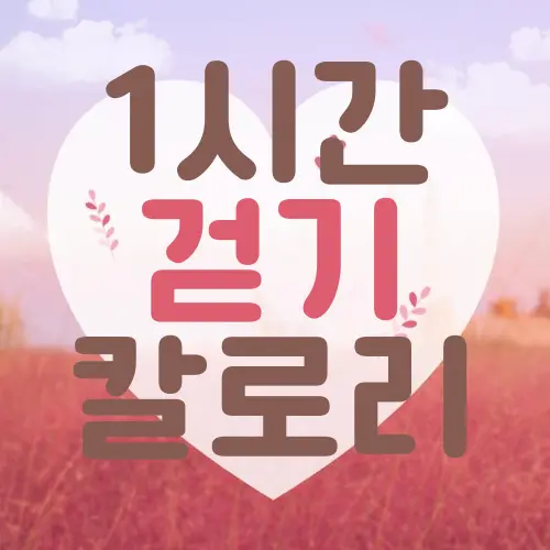 1시간 걷기 칼로리