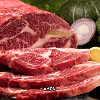 콜라겐 많은 음식