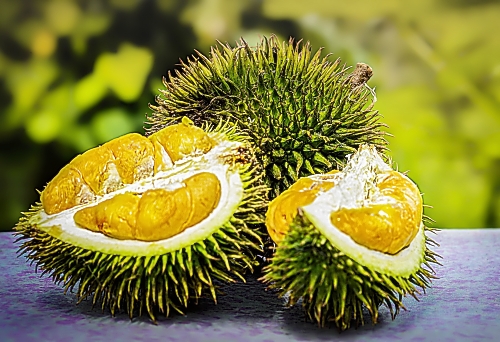 두리안 효능, 성분, 먹는법, 부작용