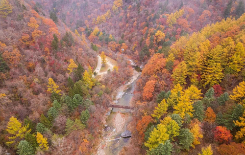 오대산 선재길