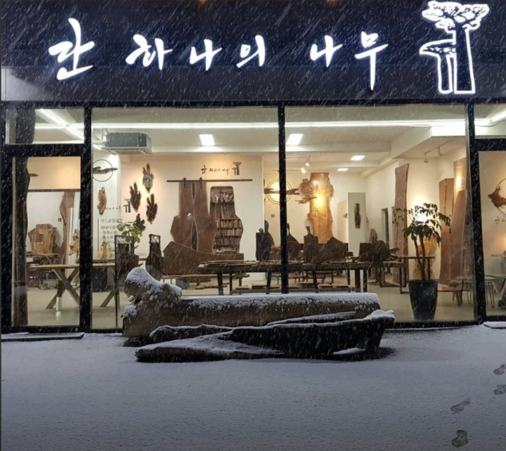 단-하나의-나무