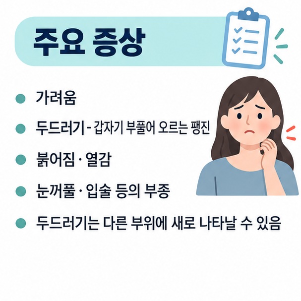 가려움 두드러기 붉어짐 열감 부종 등 피부 알레르기에서 나타날 수 있는 증상을 표로 정리한 이미지
