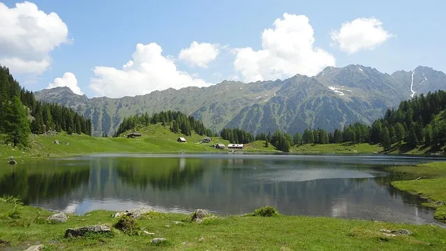 훼라민큐 300정 가격 구매 참고사항을 확인_7