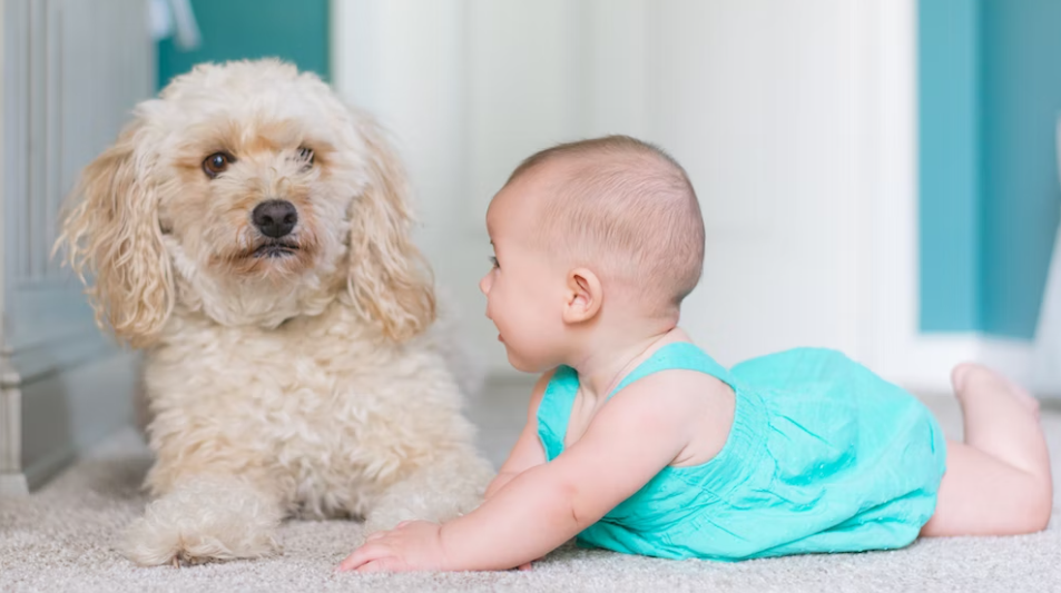 바디 인지 놀이