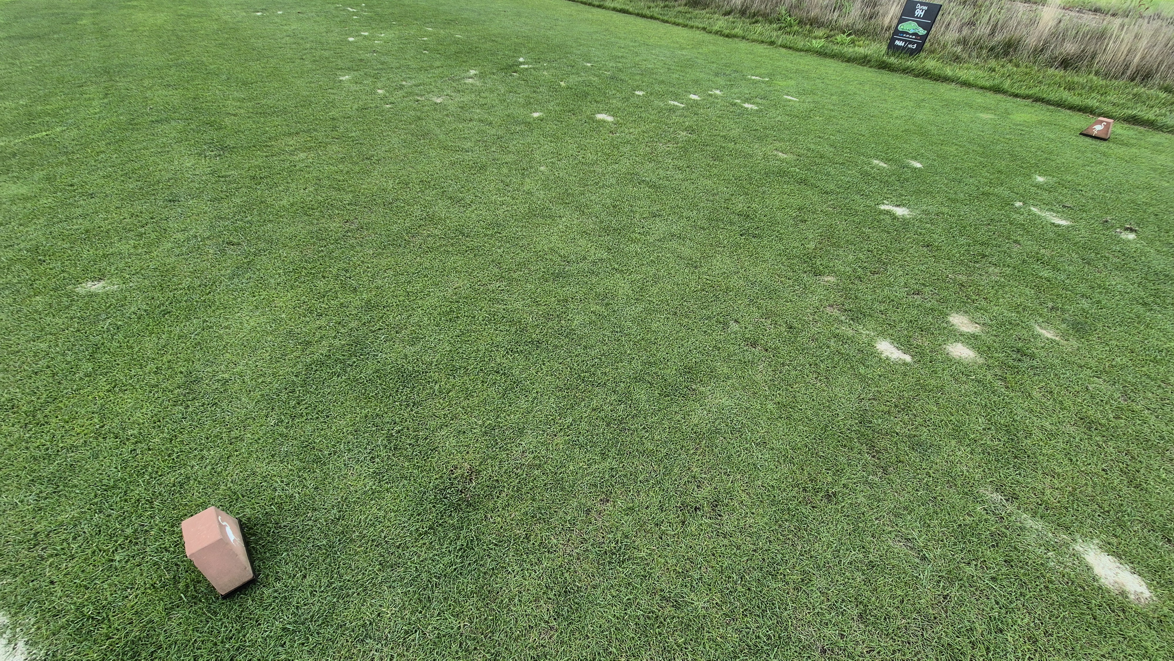 플라밍고cc 듄스-링크스 코스 라운드 후기