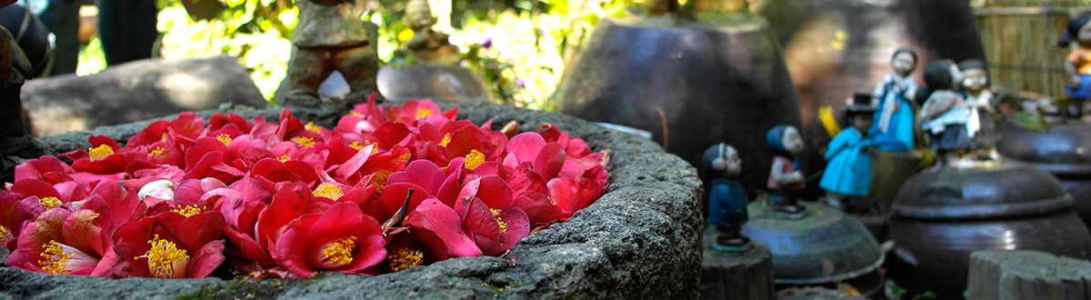 당일치기 여수여행 추천(오동도, 고소천사벽화마을, 향일암, 돌산공원, 여수 해상케이블카)