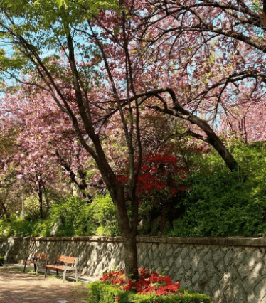 인천 자유공원-인스타그램출저