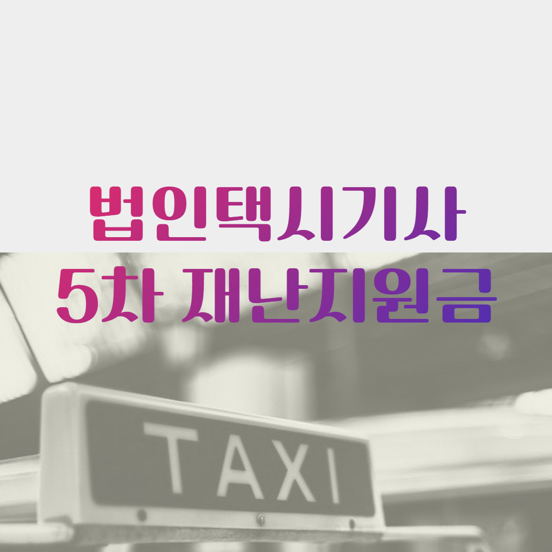 법인택시기사 5차 재난지원금