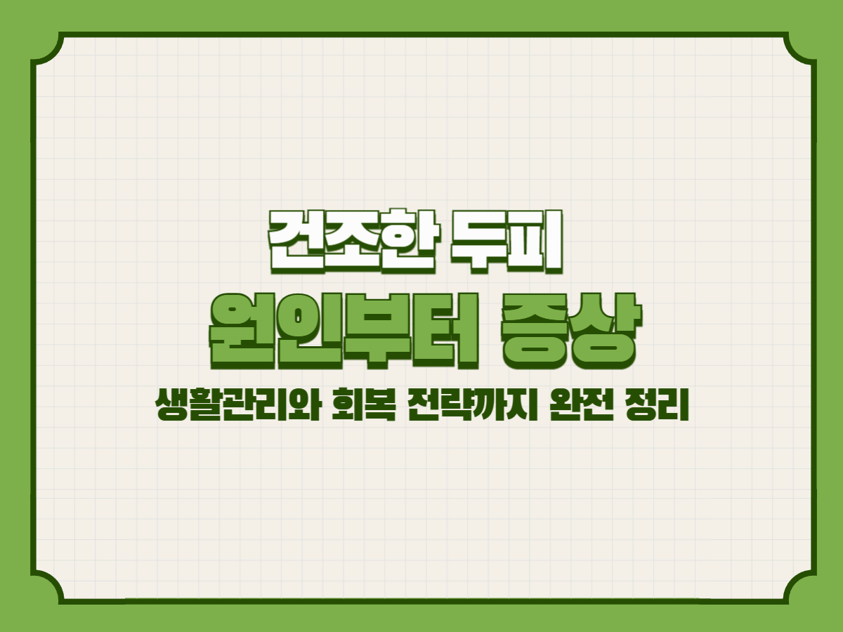 건조한 두피 – 원인부터 증상, 생활관리와 회복 전략까지 완전 정리