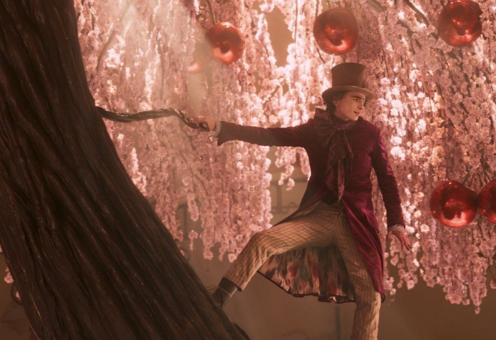 영화 웡카 티모시 샬라메