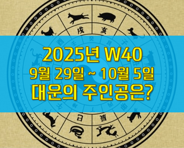 W40 주간운세