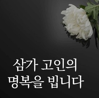 삽자루