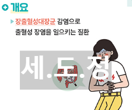 여름철 장출혈성대장균 감염 예방 방법 개요