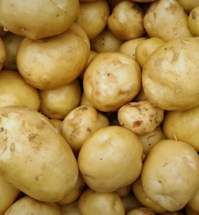 위염에 좋은 음식 영양제 식단