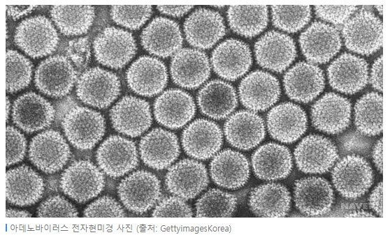아데노바이러스는 눈꼽감기라고 불리고 있는 요즘 유행하는 바이러스입니다. 급성 장염, 호흡기 질환, 유행성 각결막염 등을 일으키는 바이러스로 알려져 있는데 요즘 아이들에게 많이 나타납니다. 증상과 예방할 수 있는 방법이 무엇인지 참고하시기 바랍니다.