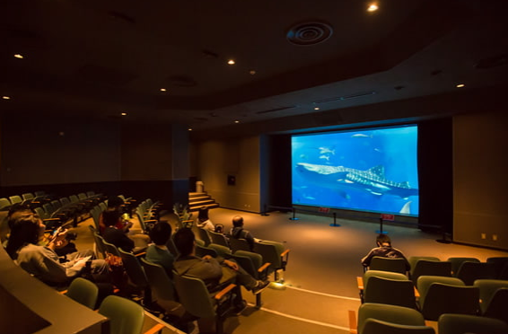 츄라우미수족관